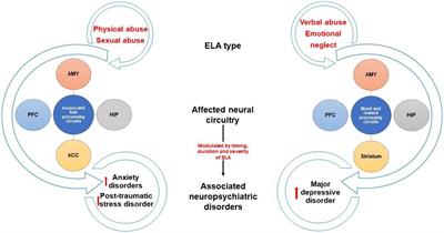 Frontiers Early Life Adversity and Neuropsychiatric Disease